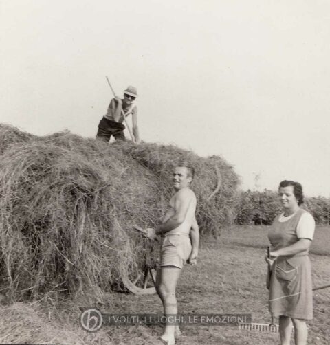 Foto Famiglia Mardegan-Piccolo - Il lavoro nei campi