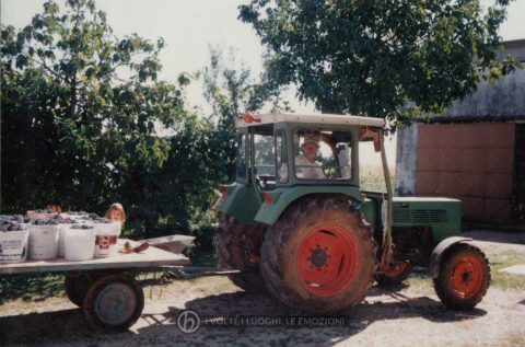 Foto Famiglia Pagnan-Tempesta - Ritorno a casa dalla vendemmia