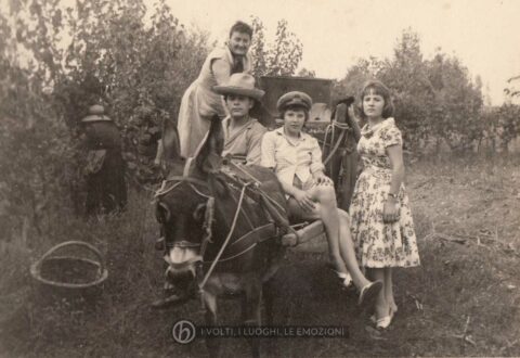 Foto Sorelle Occhial - La vendemmia