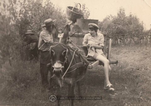 Foto Sorelle Occhial - La vendemmia
