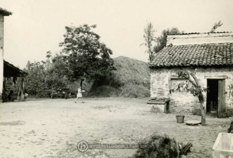Foto Primo De Marchi