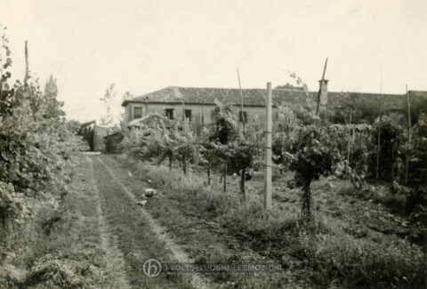 Foto Primo De Marchi