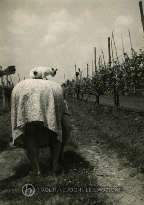 Foto Primo De Marchi