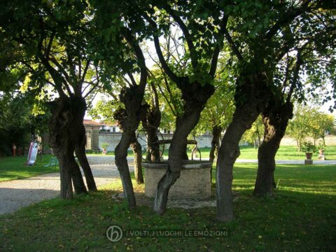 2007: il pozzo tra la Barchessa e l'area di Villa Pola