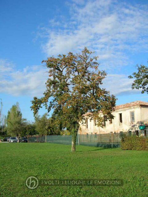 2007: edifici annessi