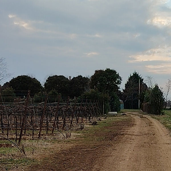 Panoramica del centro di Barcon ripreso dai campi a sud