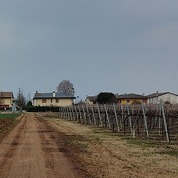 Panoramica del centro di Barcon ripreso dai campi a sud