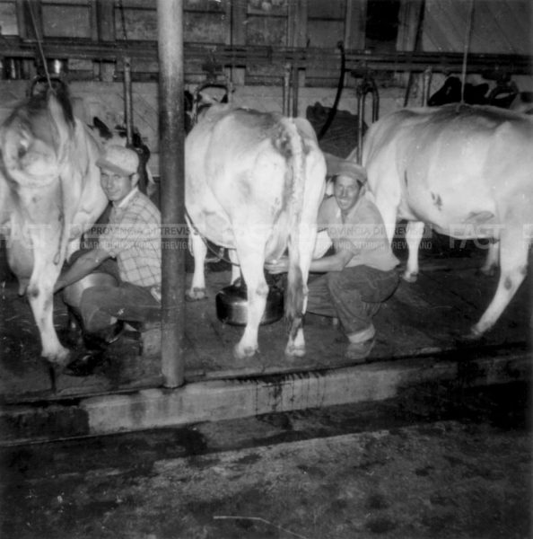 FAST – Foto Archivio Storico Trevigiano della Provincia di Treviso
