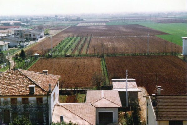 Foto Maurizio Soligo - Anni '80. Panorama dal campanile